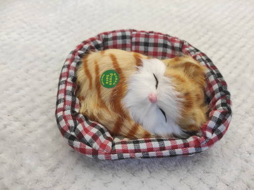 Купить "Кот в мягкой корзине" во Сретенске фото 7 "Кот в мягкой корзине" во Сретенске фото 7